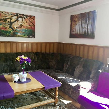 Rolling Stone Hostel Brasov Bagian luar foto