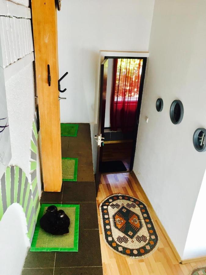 Rolling Stone Hostel Brasov Bagian luar foto